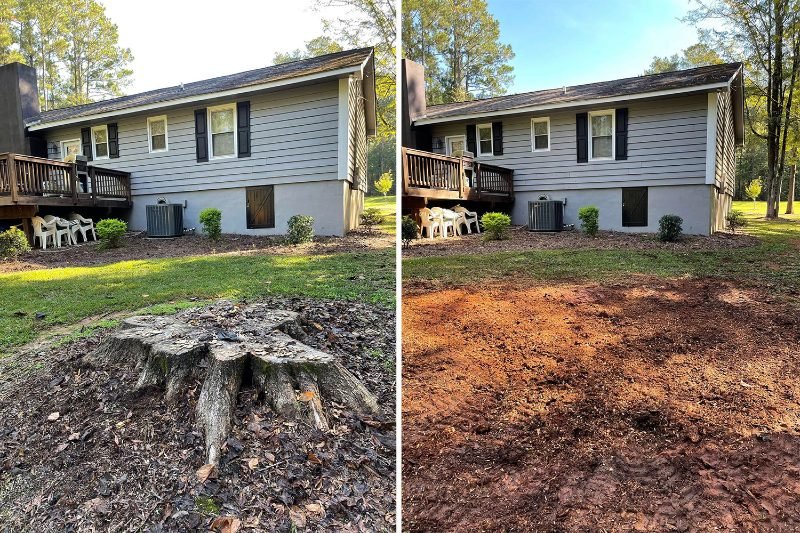 Tree Service Pros West Sacramento