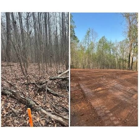 Representative tree service image