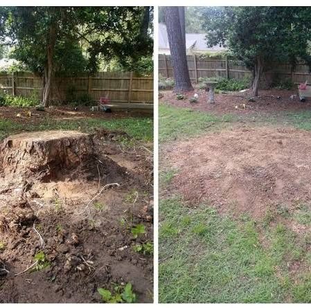 Representative tree service image