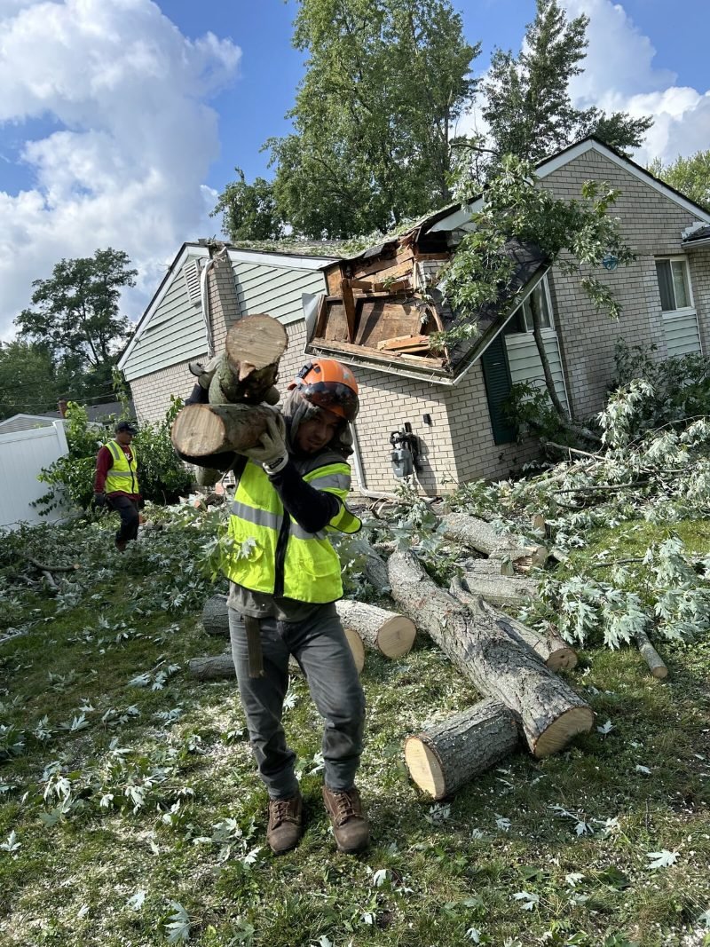 Hedge and Shrub Trimming services in West Sacramento, California