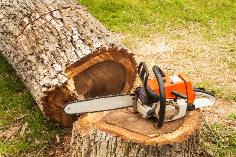 Stump Grinding services in West Sacramento, California